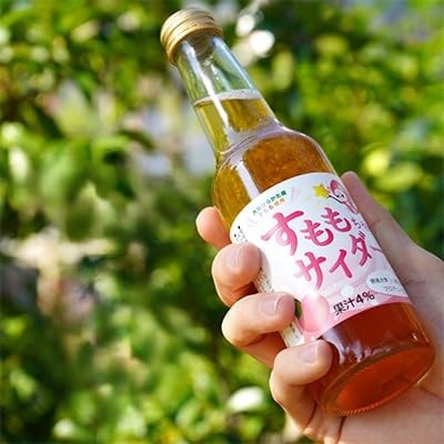 大阪府ひらかた産 すもも使用 すももちゃんサイダー(250ml) 6本