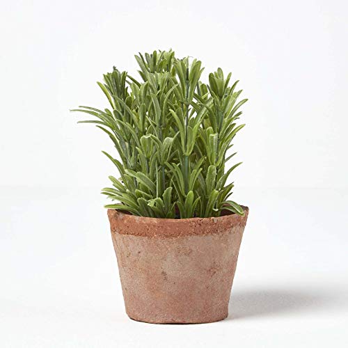 HOMESCAPES Artificial Rosemary in Terracotta Pot Decorative Faux Herbs Potted in Distressed Planter for Indoor Decoration, 16 cm Tall - Cosy Home Interiors HOMESCAPES Artificial Rosemary in Terracotta Pot Decorative Faux Herbs Potted in Distressed Planter for Indoor Decoration, 16 cm Tall - Image 4