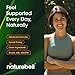 NatureBell Nattokinase - 240 Capsules - 8,000 FU Max Strength from Fermented Natto Extract - for Heart Health, Healthy Circulation & Daily Wellness Support*