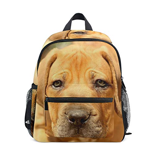 Backpack Rhodesian Ridgeback Dog School Bag Multi Cute BookBags for School Boys