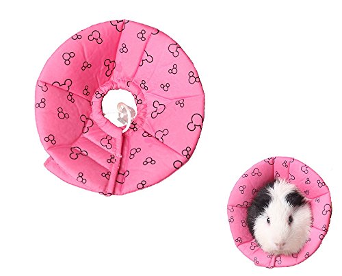 Anti Bite Anti Feather Picking Collar Parrot & Small Pet Recovery Collar – Adjustable Elizabethan Collar For Birds, Hamsters, Rabbits | Anti-Bite Feather Guard (XS, Pink) Adjustable Recovery Cone For Hamsters Rabbits Anti Bite Anti Feather Picking Collar Parrot & Small Pet Recovery Collar – Adjustable Elizabethan Collar For Birds, Hamsters, Rabbits | Anti-Bite Feather Guard (XS, Pink) Adjustable Recovery Cone For Hamsters Rabbits