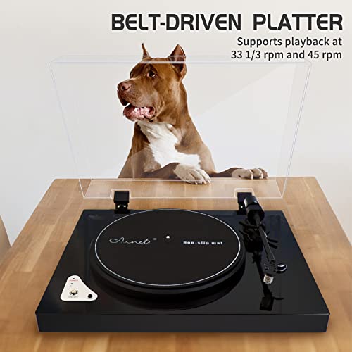 Tourne Disque Vinyle Bluetooth 33/45 RPM,Teglu Platine Vinyle Vintage Chaîne HiFi Lecteur de Vinyle sans Fil avec… - Les Beatles, Paul McCartney, John Lennon, RIngo Starr, George Harrison Tourne Disque Vinyle Bluetooth 33/45 RPM,Teglu Platine Vinyle Vintage Chaîne HiFi Lecteur de Vinyle sans Fil avec… – Image 5