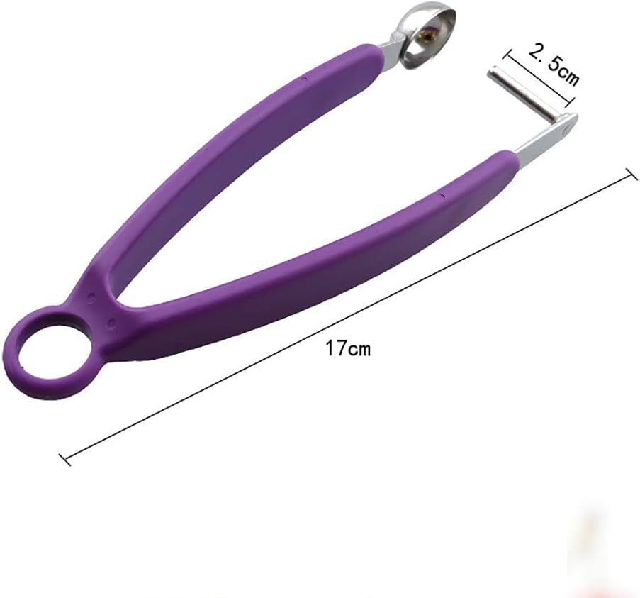 Cherry Olive Pits Seed r Machine Container Kitchen Tool Removal Core Seeder Cherry Corer Container