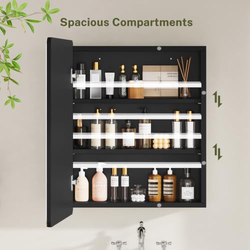 Image of TEENFON Medicine Cabinet Mirror with 2 Adjustable Shelves, Bathroom Mirror with Storage, Recessed or Wall Mount Bathroom Cabinet, Black