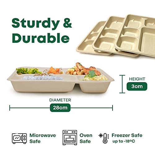 DISPOSABLE GREEN Rechteckige Einwegteller, Bagasse-Fach, Einweg-Teller, 5 Fächer, geteilte Teller für heiße, kalte, nasse und ölige Lebensmittel, Portionskontrolle, 28 cm x 22 cm, 25 Stück