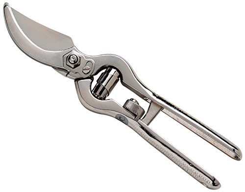 AUSONIA 31166 Forbici Vigna forgiata Grigio 23 cm