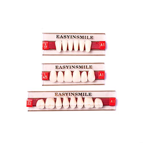 Easyinsmile Dental Synthetic Resin Teeth Acrylic Denture False Tooth for Adults Full Set/Anterior/Posterior (Full Set 425+U37+32, A1)