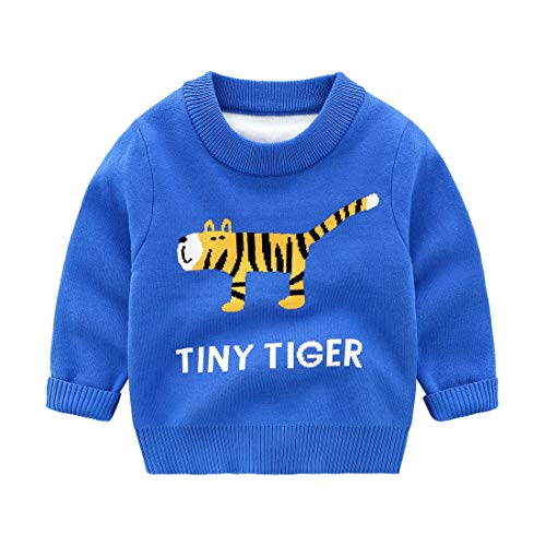 HiSunlyan Toddler Boys Sweatshirt Dinosaur Elephant Sports Pullover Long Sleeve Cartoon T-Shirts Sports Tee for Kids Blue