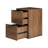 LUCYPAL 2 Drawer File Cabinet Wood, Pressed Wood File Cabinets for Home Office,Vertical File Cabinet