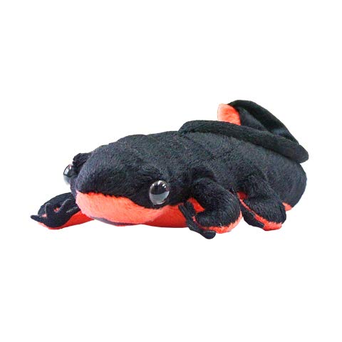 TST ADVANCE アカハライモリ ぬいぐるみ BLACK サイズ:18cm