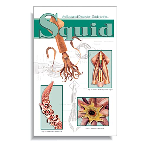 Anatomy Lab Soft Cover Squid Dissection Guide Book