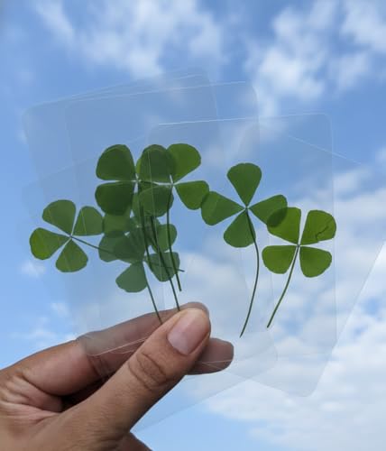 Image of Real Four-Leaf Clover Card (pack of 1) - Laminated Pressed Leaves, Waterproof Preservation, Good Luck charm, perfect gift, Lucky key chain, bag charm, | Free 'clover necklace' gift inside ! |
