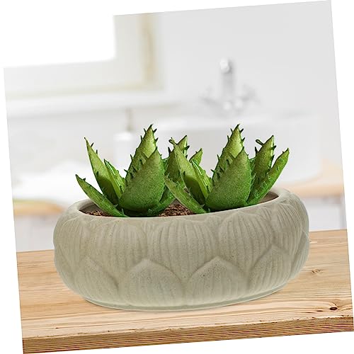 Pot de fleurs hydroponiques en céramique pour stopper l'excès d'eau