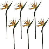 Lily Garden Pack of 6 Bird of Paradise Spray Natural (Orange, 22.5 Inch)
