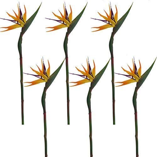 Lily Garden Pack of 6 Bird of Paradise Spray Natural (Orange, 22.5 Inch)
