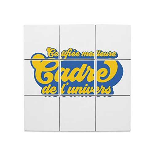 Carreaux céramique décoratifs haut de gamme, grand format 45,6x45,6cm pour entreprise
