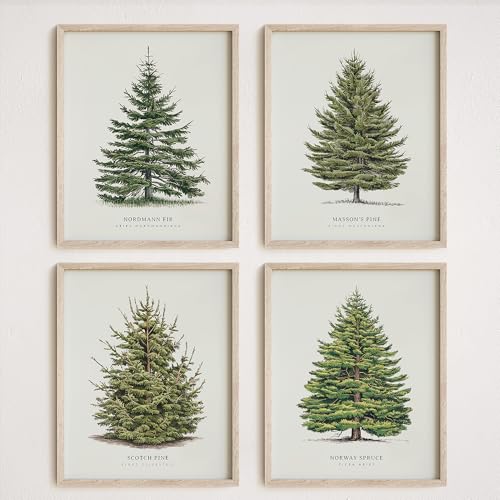 NOCTMETEOR 4Pcs Vintage Christmas Tree Wall Art,...