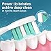 Aoremon Toothbrush Replacement Heads for Philips Sonicare C2 Electric Toothbrush Heads fit for Phillips Sonicare Protectiveclean 4100 5100 6100 5300 9900 Brush Head for G2 C1 G3 W, 10 Count