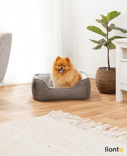 lionto Hundebett 2-in-1 mit komfortablem Einstieg, kuscheliges Heimtierbett zum Wenden für Hunde und Katzen, 60x50 cm, Hundekissen in pflegeleichter Wildlederoptik, grau