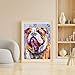 HMDIIMGE Diamond Art Painting Kits for Adults Colorful English Bulldog 5D Diamond Art Easy for Beginner Round Full Drill Cross Stitch Mosaic Gems Craft for Hobby and Home Decor 30x40cm