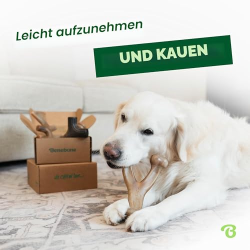 Benebone S 4er-Pack Hundespielzeug für aggressive Kauer – bis 30 lbs