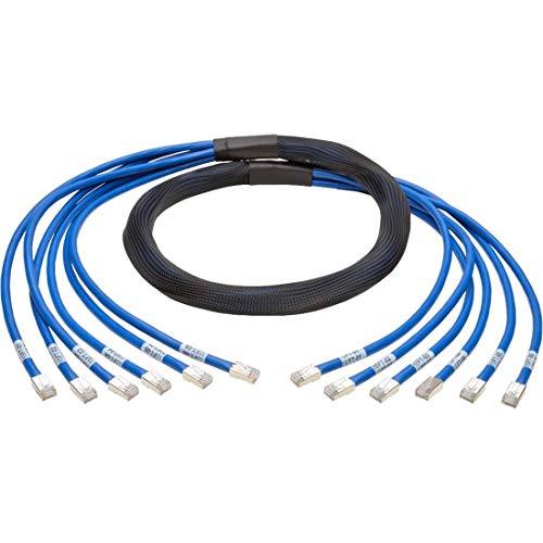 Tripp Lite 10ft Augmented Cat6 Cat6a Pre-Terminated Copper Trunk Bundle 6xRJ45 M/M 10' - Network cable - RJ-45 (M) to RJ-45 (M) 
