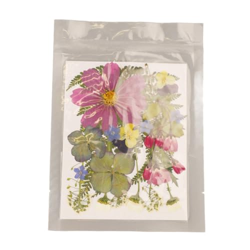 5 bolsas de flores secas prensadas para manualidades miniatura 4