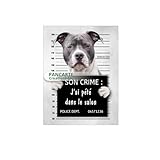 En aluminium (ne rouille pas) Plaque American Staff Staffordshire Terrier humour prisonnier crime chien panneau pancarte identité 15x20cm