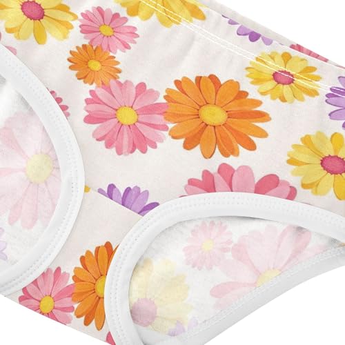 Toddler Girls Underwear 2t Cotton Panties for Girl Fun Kids Briefs Undies Colorful Daisy Flowers Pink Purple4