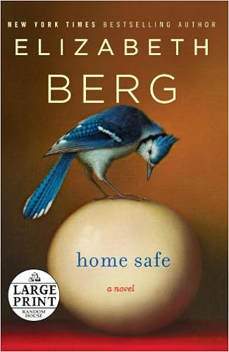 Home Safe: A Novel book cover
