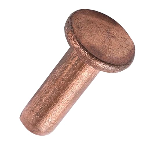 Rivets à tête plate M6 x 10mm en acier lisse pour un alignement fluide parfait