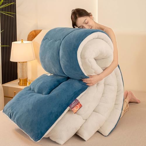 YSZBD Coperta Calda Imbottita Invernale Letto Matrimoniale Trapunte Invernali Pesanti in Lana d'Agnello Piumoni Singoli/Matrimoniali Invernali(#2,180x220cm-3kg)