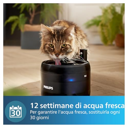 Filtri per Fontanella d'Acqua Philips Pet Series - Filtro Multistrato. Per Acqua Potabile Pulita & Fresca. Confezione da 3 Filtri di Ricambio. Bianco (PAW0010/01) - 5