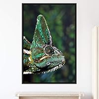 Framed Canvas Wall Art Reptile Contemporary Dramatic Hallway Iguana Multicolor Photography Reptiles - 16x24 inches
