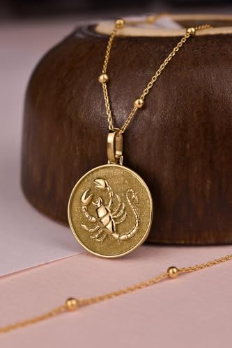 Collar Escorpio de plata ley 925 antialérgico que no se oscurece 2