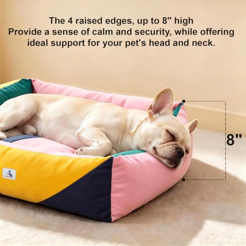 Image of Cotton Canvas Dog Bed (290gsm Thick), 24 inchx20 inchx8 inch Durable Waterproof