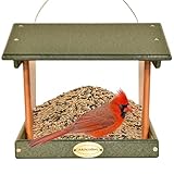 DutchCrafters Plastic Hanging Hopper Bird Feeder, Large Bird Feeders for Outdoors, Suitable for Food, Seed, Mealworm (Large, Turf Green & Cedar)