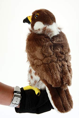 Falcon o Sky - Camel o SHY & Friends by Sabine P