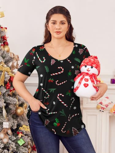 Image of BELAROI Women Plus Size Tops V-Neck Tunics Shirts