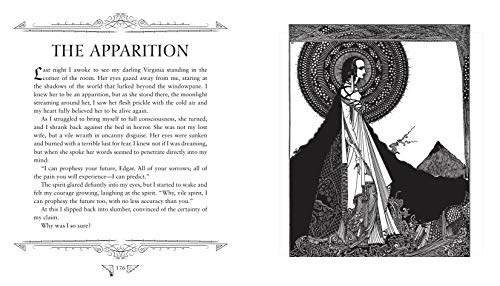 Edgar Allan Poe Puzzles: Conundrums of Mystery and Imagination (Sirius Literary Puzzles, 6) - Thumbnail 5