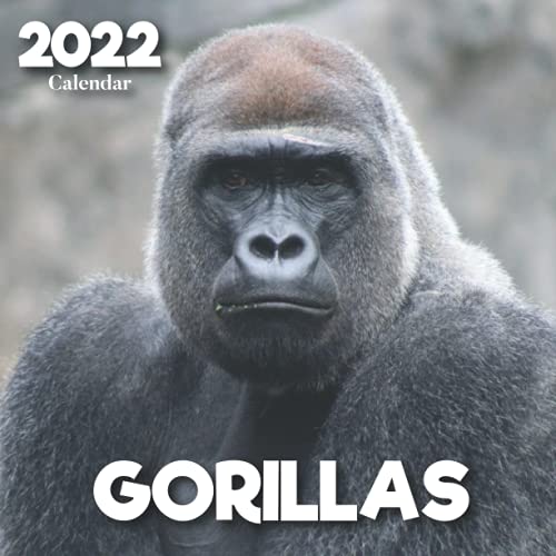 2022 Gorilla Calendar: A Monthly and Weekly 12 Months Calendar 2022 With Pictures of the Gorilla For Desk, Office to Write in Appointment, Birthday, ... Ideas For Men, Women, Girls, Boys in Bulk