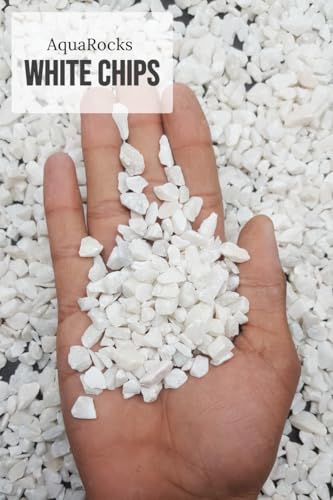 Image of Premium White Gravel (15 kg Pack) - Natural Decorative Stones for Aquarium, Landscaping, Garden Decoration, and Home Decor