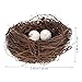 Gadpiparty 16pcs Twig Bird Nests, Bird Nests for Crafts, for Easter Party DIY Home Decoration Ornament and Egg Decor (4pcs 4 Inch, 12pcs Eggs)