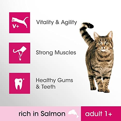 Perfect Fit Dry Cat Food Adult 1+ - Complete Dry Food for Adult Cats from 1 Year Old, Rich in Salmon 7 kg (Pack of 1)