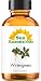 Wintergreen (2 fl oz) Best Essential Oil - 2 ounces (59ml)