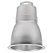 Calculite Frame-In Kit, 75 - 85 watt PAR30/BR30 Incandescent Lamp, 120 volt