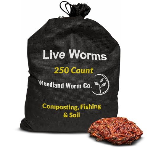 Red wigglers live worms 250 count, Worms for Composting, Fishing, and improve the Soil Health & Fertility - Perfect for Gardens, Farming & Organic Waste Recycling - Boost Plant Growth Naturally