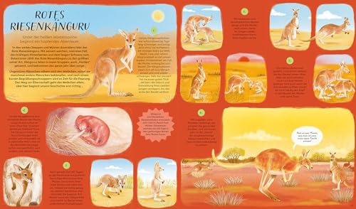 Der Lauf der Natur: 48 Geschichten über die Kreisläufe unserer Welt