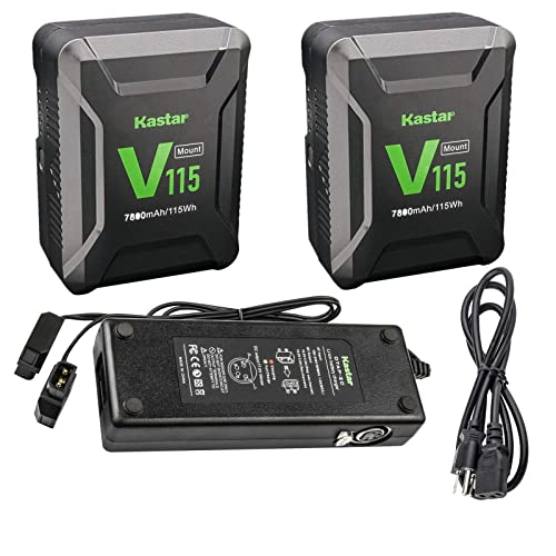 Kastar 2-Pack Battery & D-Tap Charger for Aputure LED Lights