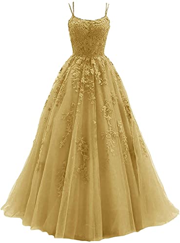 Prom Dress Lace Formal Evening Gowns Appliques Wedding Guest Dress Tulle Long Prom Dress